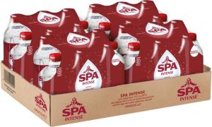 Spa Intense eau, bouteille de 33 cl, paquet de 24 bouteilles