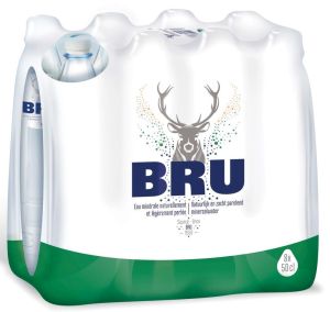 Bru eau l&eacute;g&egrave;rement p&eacute;tillante, bouteille de 50 cl, paquet de 24 pi&egrave;ces