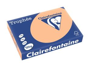 Clairefontaine Papier Trophee Abrikoos A