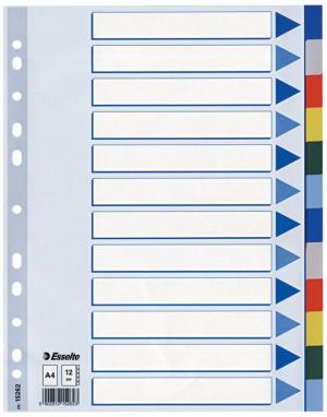 Esselte INTERCALAIRE 12ONGLETS PP ASS.