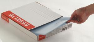 Esselte pochettes PP A4 11-trous 100/boî