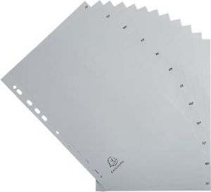 Exacompta intercalaires mensuel A4, en PP, 12 onglets, jan-d&eacute;c, gris, fran&ccedil;ais