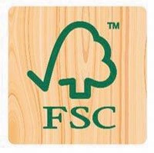 Maped crayon de couleur Color'Peps, 12 crayons