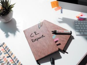 Edding permanent marker Ecoline e-21 blauw