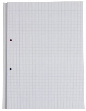 Class'ex cursusblok, commercieel geruit, blok van 100 vel