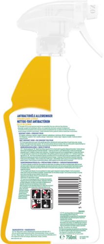 Dettol allesreiniger, citroen, spray van 750 ml