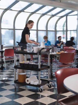 Rubbermaid chariot utilitaire, ft 85,4 x 47,3 x 95,9 cm