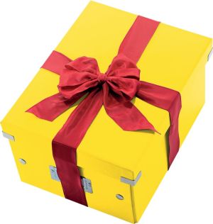 Leitz WOW bo&icirc;te de rangement Click & Store, ft A4, jaune