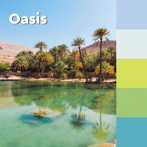 Post-it Super Sticky notes Oasis, 90 vel, ft 76 x 76 mm, geassorteerde kleuren, pak van 5 blokken