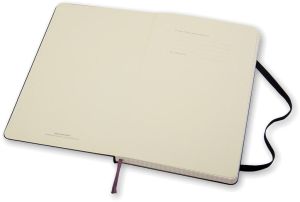 Moleskine notitieboek, ft 13 x 21 cm, geruit, harde cover, 240 bladzijden, zwart