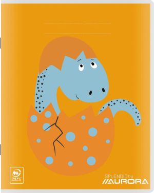 Splendid schrift, 48 bladzijden, ft 16,5 x 21 cm, 3 lijnen