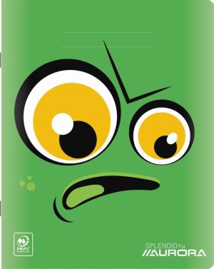 Splendid schrift, 48 bladzijden, ft 16,5 x 21 cm, geruit 5 mm