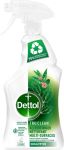 Dettol multi-usages, eucalyptus, spray d