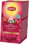 Lipton thé, Fruits de bois, Exclusive Se