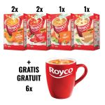 ACTION ROYCO: 2 x potiron, 2 x tomates b